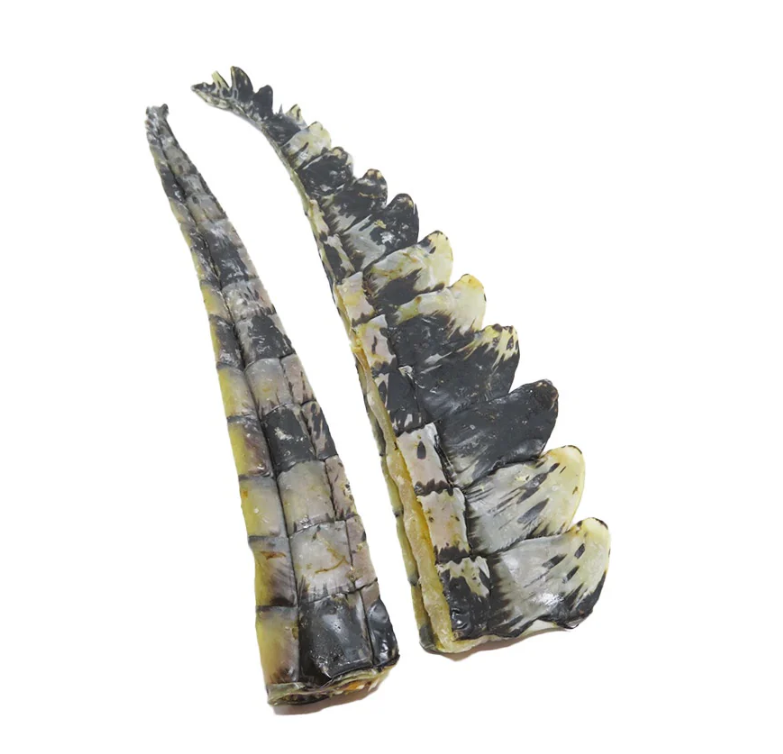 Crocodile Tail Tips - 200g